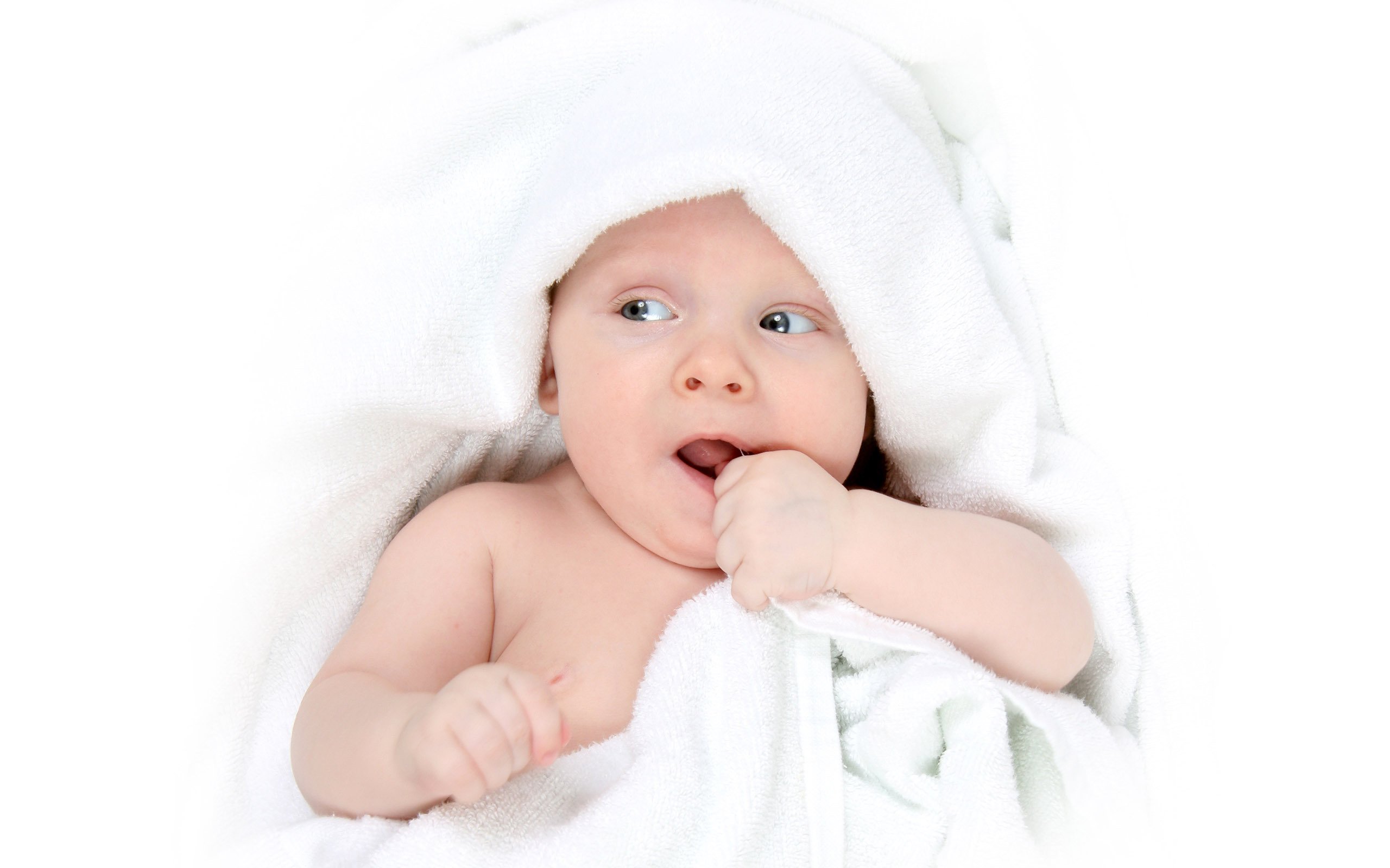 借卵机构供精试管婴儿成功率是多少